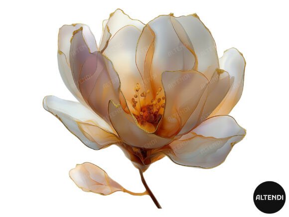 Abstract Magnolia Clipart: A Creative Resource for Designers and Makers