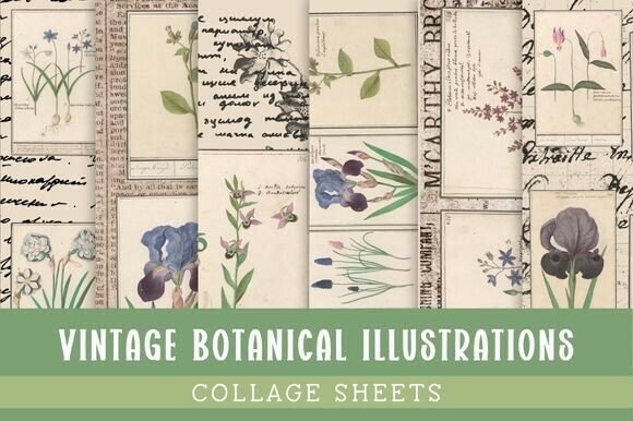 Vintage Botanical Illustrations